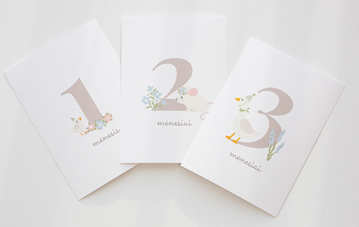 Kūdikio mėnesio kortelių rinkinys (1–12 mėn.)
