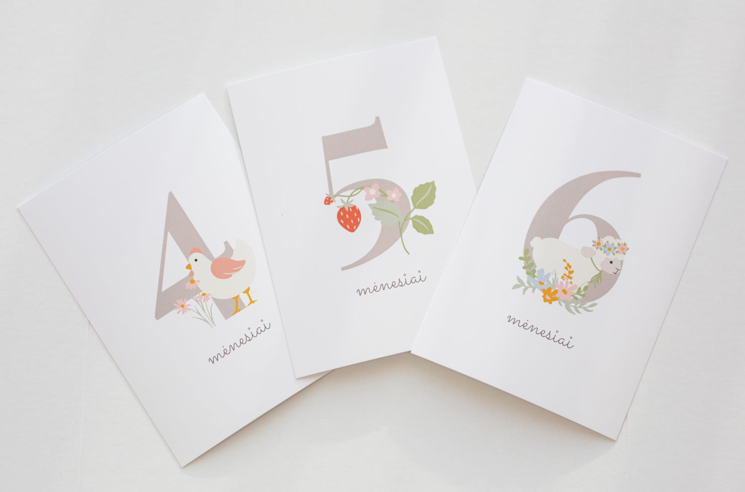 Kūdikio mėnesio kortelių rinkinys (1–12 mėn.)